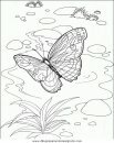 animales/mariposas/mariposas_047.JPG