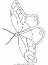 animales/mariposas/mariposas_052.JPG