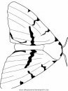 animales/mariposas/mariposas_053.JPG