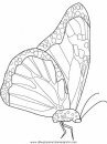 animales/mariposas/mariposas_056.JPG