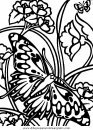 animales/mariposas/mariposas_062.JPG