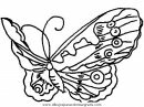 animales/mariposas/mariposas_063.JPG