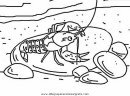 animales/mariscos/camaron_3.JPG