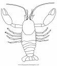 animales/mariscos/camaron_5.JPG