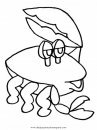 animales/mariscos/cangrejo_cangrejos_4.JPG