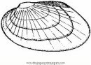 animales/mariscos/choritos_1.JPG