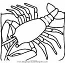 animales/mariscos/mariscos_01.JPG