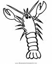 animales/mariscos/mariscos_03.JPG