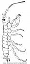 animales/mariscos/mariscos_05.JPG