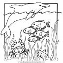 animales/mariscos/mariscos_07.JPG