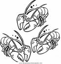 animales/mariscos/mariscos_09.JPG