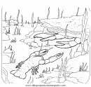 animales/mariscos/mariscos_10.JPG