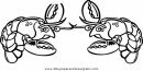 animales/mariscos/mariscos_11.JPG