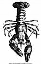 animales/mariscos/mariscos_12.JPG