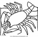 animales/mariscos/mariscos_14.JPG
