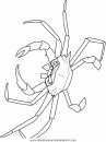 animales/mariscos/mariscos_15.JPG