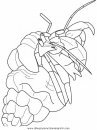 animales/mariscos/mariscos_18.JPG
