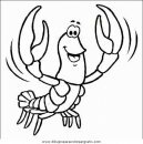 animales/mariscos/mariscos_24.JPG