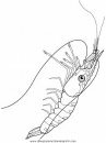 animales/mariscos/mariscos_31.JPG
