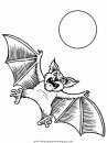 animales/murcielagos/murcielagos_01.JPG