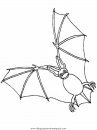 animales/murcielagos/murcielagos_03.JPG