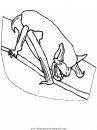 animales/murcielagos/murcielagos_07.JPG
