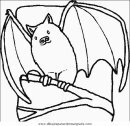 animales/murcielagos/murcielagos_11.JPG