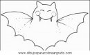 animales/murcielagos/murcielagos_15.JPG