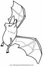 animales/murcielagos/murcielagos_16.JPG