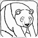 animales/osos/osos_042.JPG