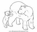 animales/osos/osos_076.JPG