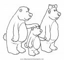 animales/osos/osos_081.JPG