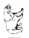 animales/osos/osos_082.JPG