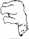 animales/osos/osos_094.JPG