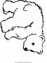 animales/osos/osos_095.JPG
