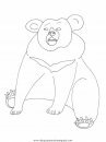 animales/osos/osos_100.JPG