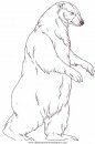 animales/osos/osos_114.JPG