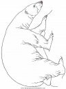 animales/osos/osos_115.JPG