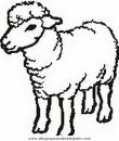 animales/ovejas/ovejas_00.JPG