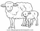 animales/ovejas/ovejas_03.JPG