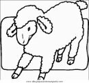 animales/ovejas/ovejas_05.JPG