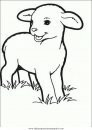animales/ovejas/ovejas_06.JPG