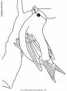 animales/pajaros/americangoldfinch.JPG