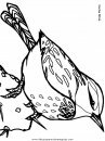 animales/pajaros/cactuswren.JPG