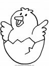 animales/pajaros/chick.JPG