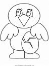 animales/pajaros/chick3.JPG