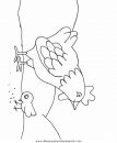 animales/pajaros/chicken.JPG