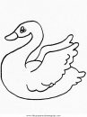 animales/pajaros/cigno_0.JPG