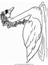 animales/pajaros/cigno_1.JPG