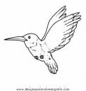 animales/pajaros/colibri_0.JPG